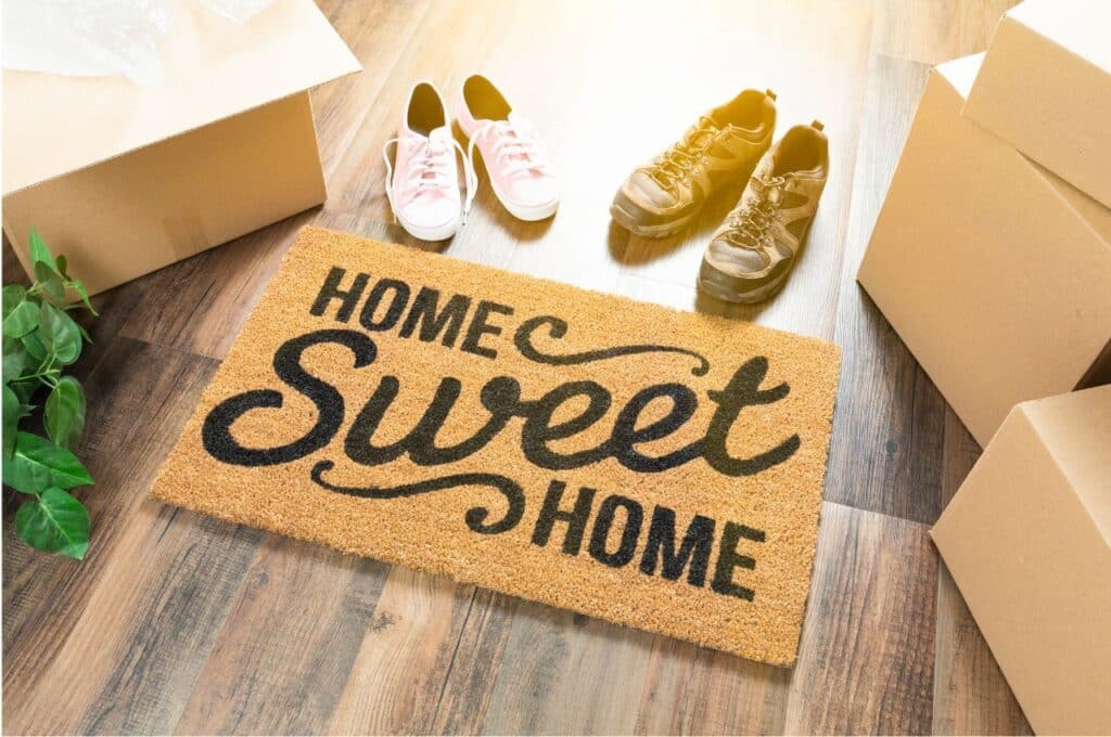 pest control for new house