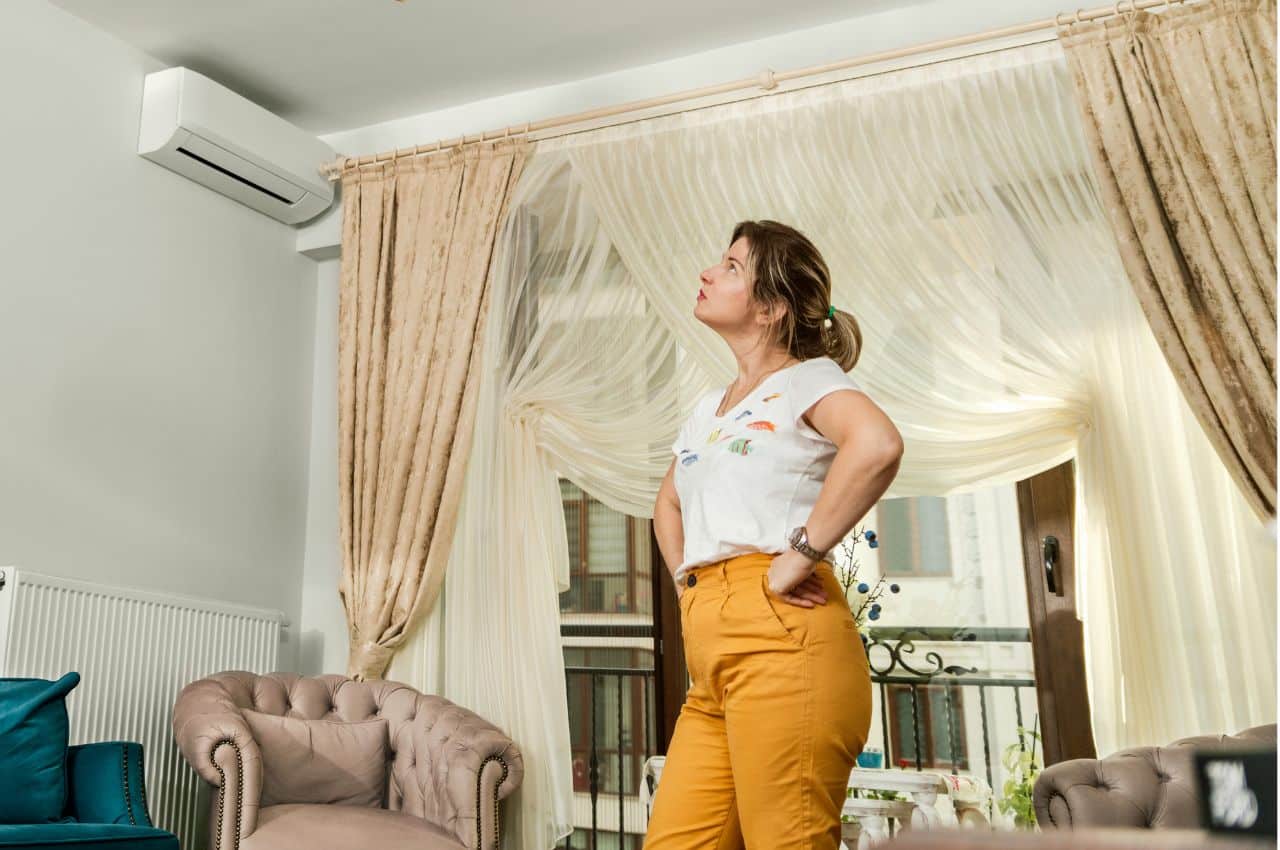 Bed Bugs in Storage Units Uncovering Their Secret Hideouts Everywhere