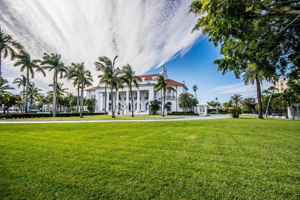 lawn pest management