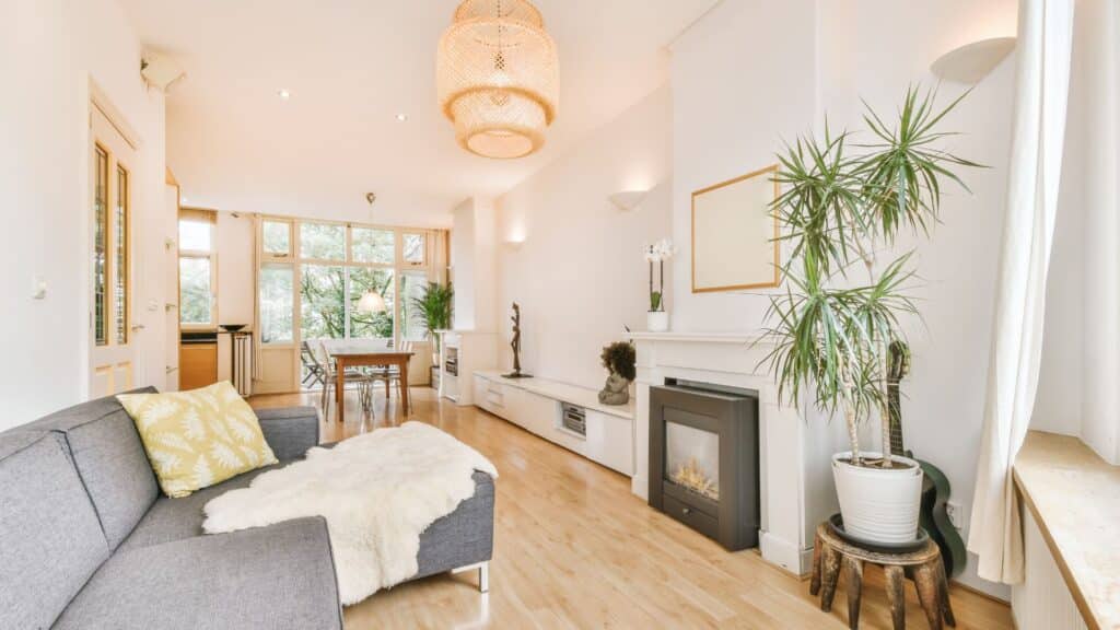 pest control insulation cost