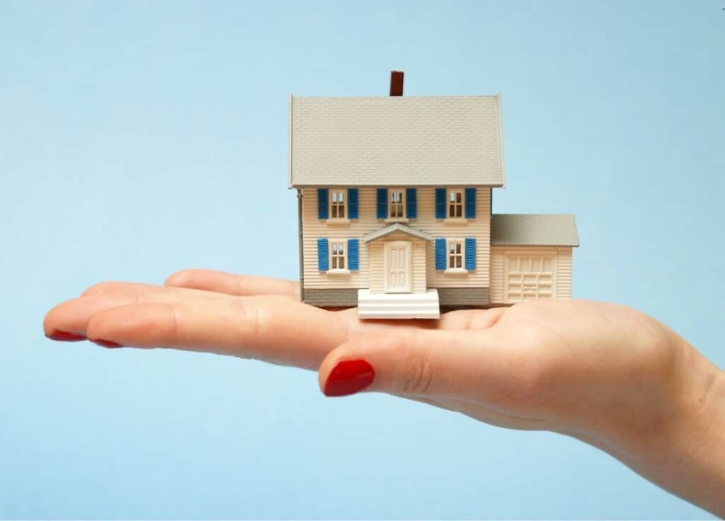 roach infestation in apartment