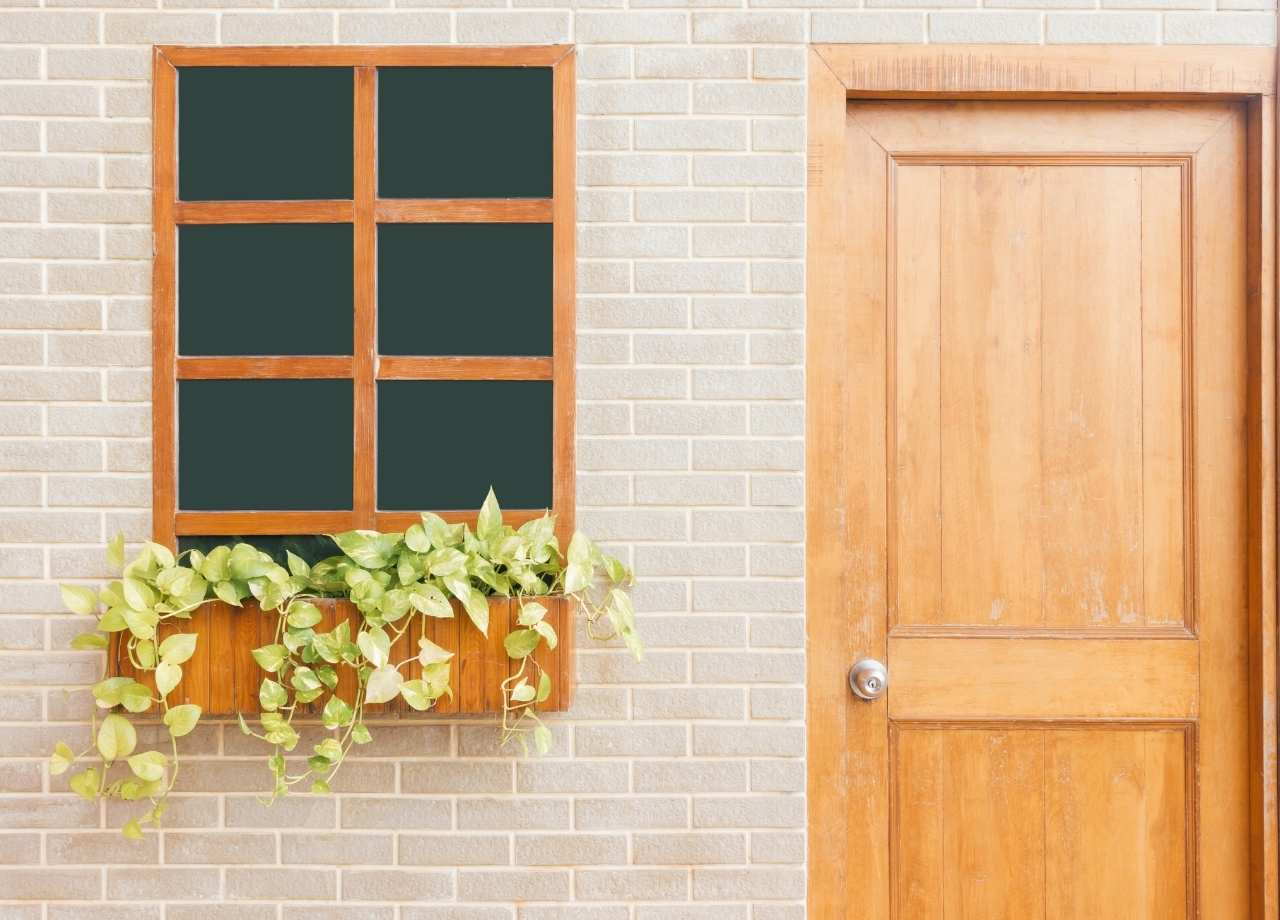 spring pest control tips for apartments