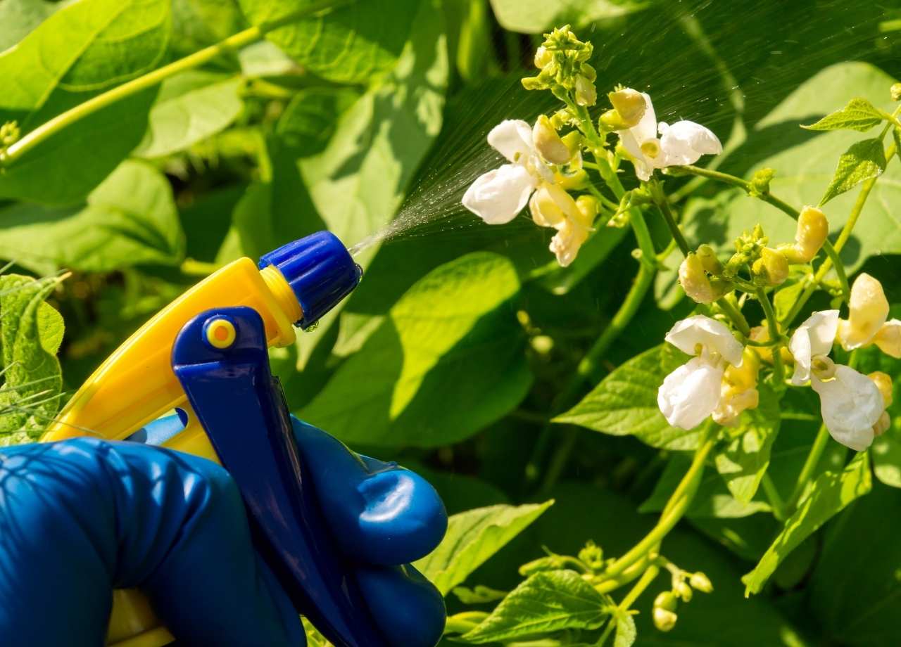sprayers and dusters