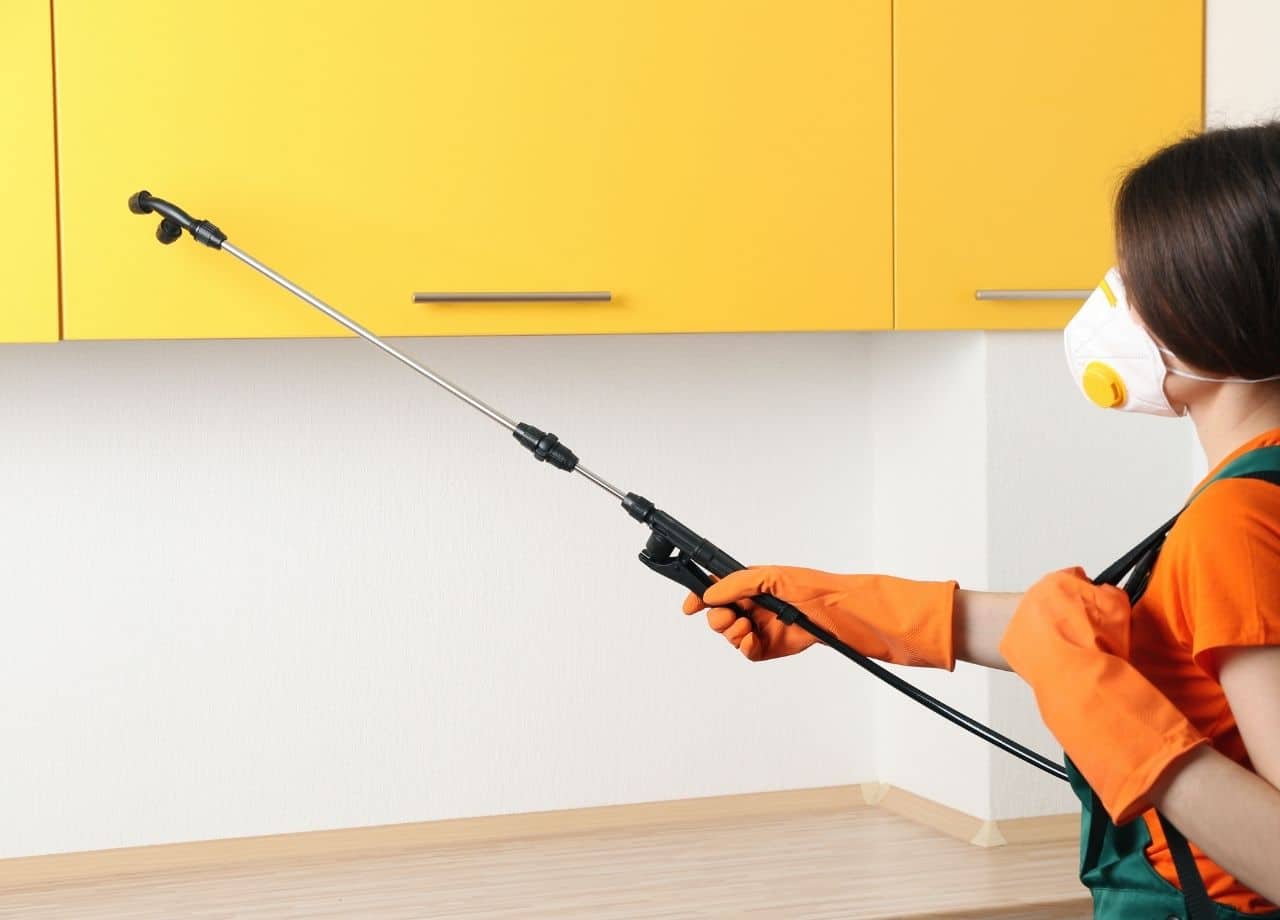 diy pest prevention