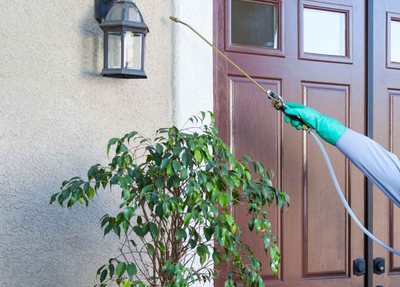 pest prevention spray