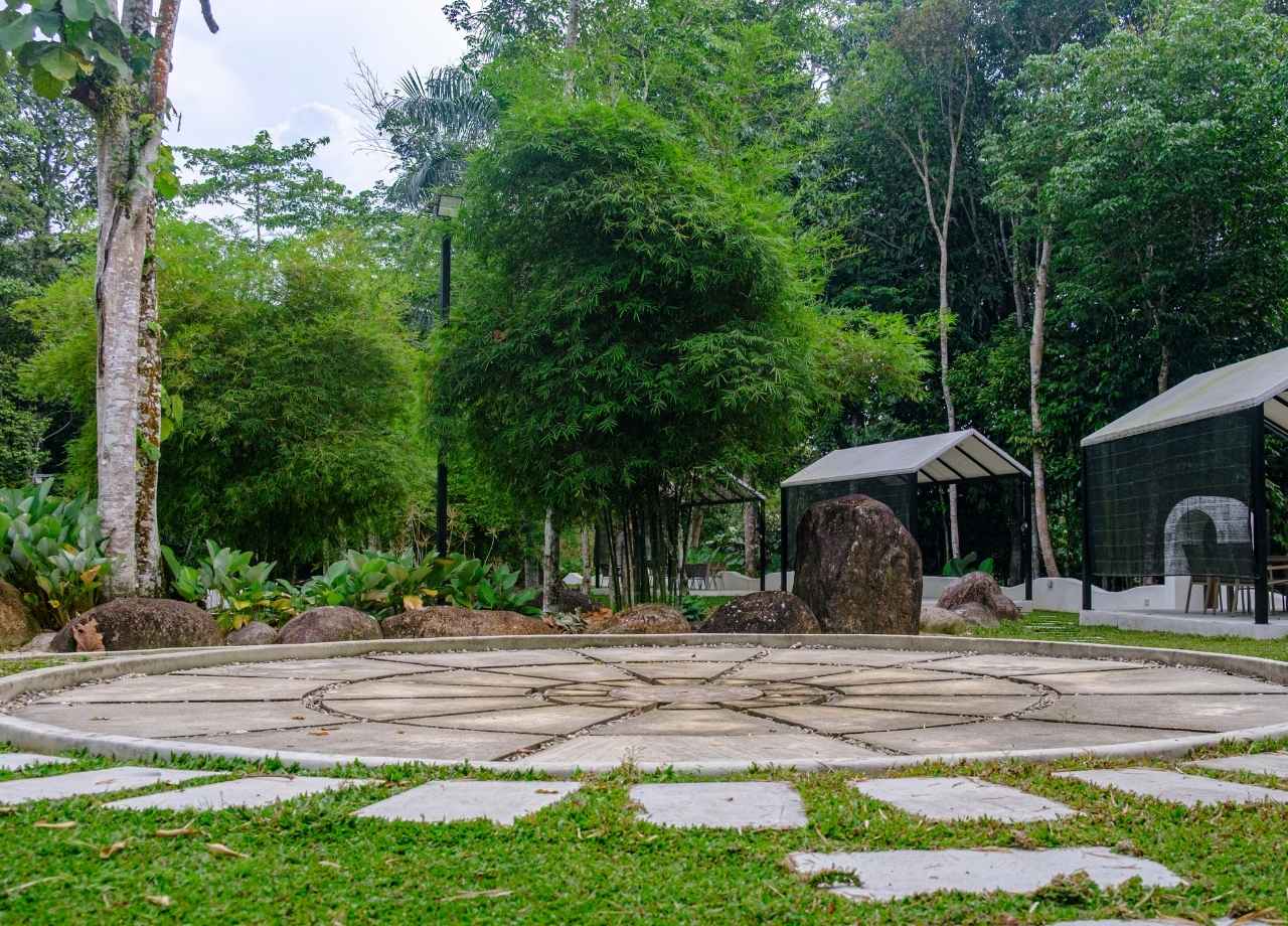 common bugs in georgia