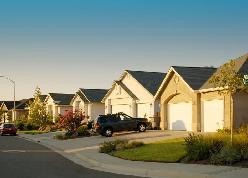 Common Bugs in North and South Carolina Homes