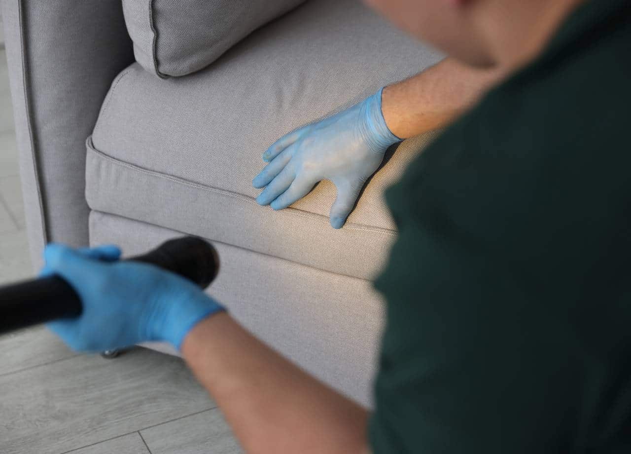 24-Hour Pest Control benefits