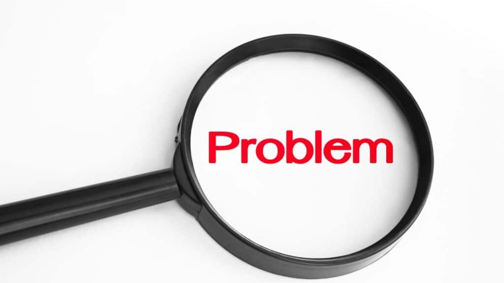 Carpenter Ant problem