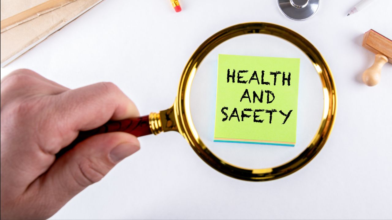 black widow spider danger